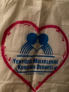 Yeryüzü Meleklerini Koruma Derneği